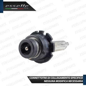 Coppia lampade D4S TOYOTA AURIS MK1
