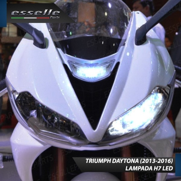 Lampade a Led 6000K Canbus Triumph Daytona Dal 2013 In Poi