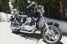 Sportster 1000 Roadster