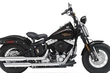 Softail 1584 Cross Bones