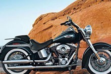 Softail 1584 Deluxe