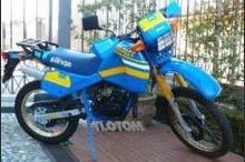 Tuareg (50) (1988-1989)