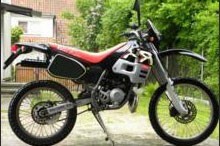 RX (50) (1995-1996) a.e.