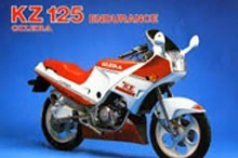KZ 125 (1987-1989) Endurance