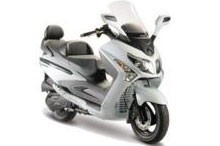 Joymax 300 (2008-2013) Evo